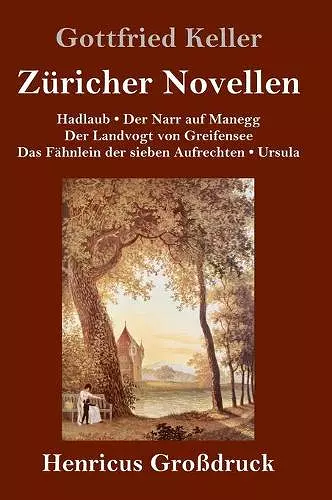 Züricher Novellen (Großdruck) cover