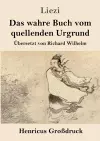 Das wahre Buch vom quellenden Urgrund (Großdruck) cover