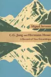 C G Jung & Hermann Hesse cover
