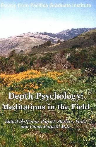 Depth Psychology, 2nd Edition cover