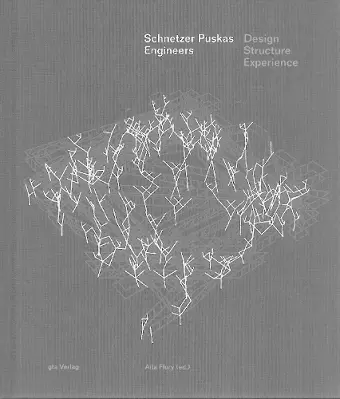 Schnetzer Puskas Engineers – Design Structure Experience cover