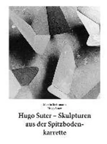 Hugo Suter - Skulpturen Aus Der Spitzbodenkarrette cover