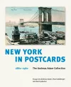 New York in Postcards 1880-1980 cover