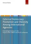 External Democracy Promotion and Diversity Among International Agencies cover