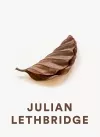 Julian Lethbridge cover