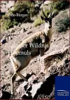 Aus der Wildnis des Huemuls cover