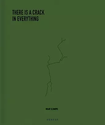 The Cracks in Everything cover