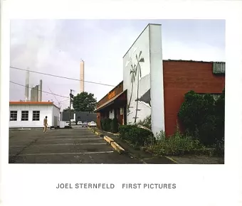 Joel Sternfeld cover