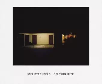 Joel Sternfeld cover