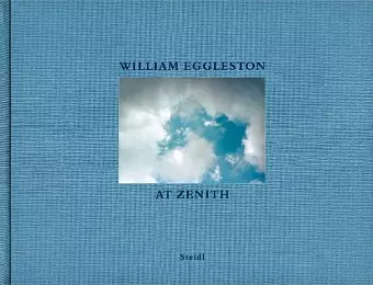 William Eggleston cover