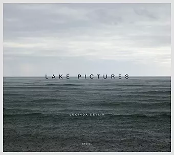 Lucinda Devlin: Lake Pictures cover