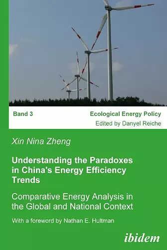 Understanding the Paradoxes in China's Energy Efficiency Trends cover