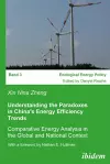Understanding the Paradoxes in China's Energy Efficiency Trends cover