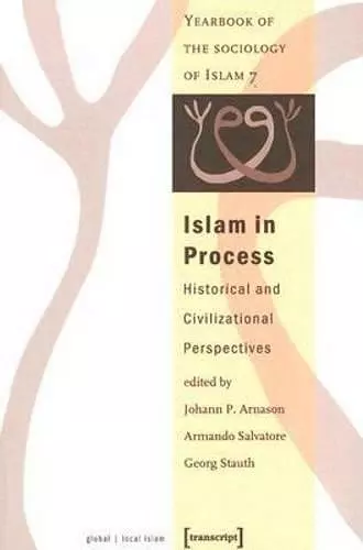 Islam in Process cover