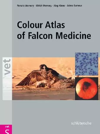 Colour Atlas of Falcon Medicine cover