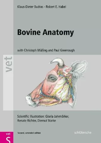 Bovine Anatomy cover