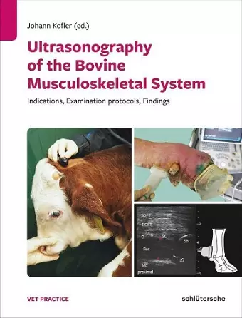 Ultrasonography of the Bovine Musculoskeletal System cover