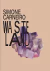 Simone Carneiro: Wasteland cover
