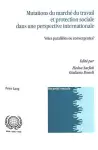 Mutations Du Marché Du Travail Et Protection Sociale Dans Une Perspective Internationale cover