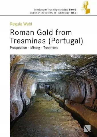 Roman Gold from Tresminas (Portugal) cover