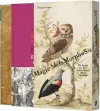 Magic Metamorphosis cover
