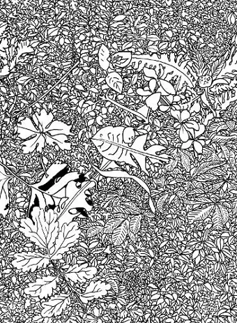 Mille Feuilles cover