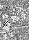 Mille Feuilles cover