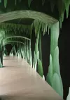 Nicolas Party: Murals cover