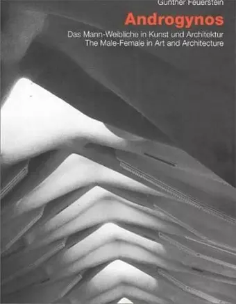 Androgynos--The Male-Female in Art and Architecture cover