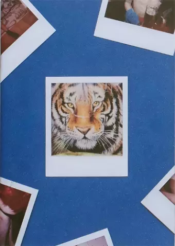 Tiger cover