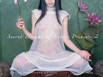 Secret Dreams of Erotic Princess 2 cover