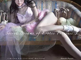 Secret Dreams of Erotic Princess 3 cover