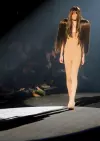 Catwalk cover