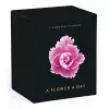 Flamboyant Flowers Perpetual Calendar cover