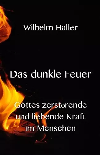 Das dunkle Feuer cover