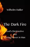 The Dark Fire cover