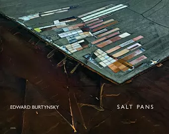 Edward Burtynsky: Salt Pans cover