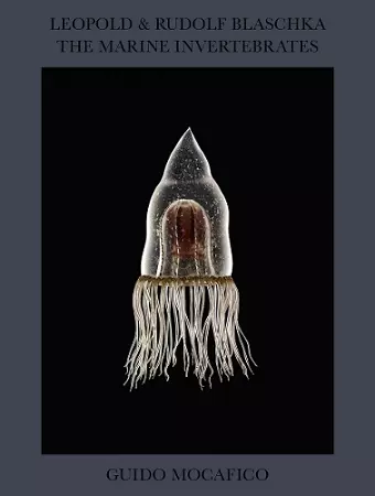 Guido Mocafico: Leopold & Rudolf Blaschka. The Marine Invertebrates cover