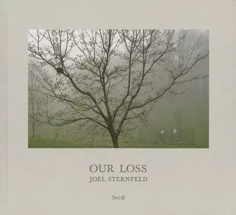 Joel Sternfeld: Our Loss cover