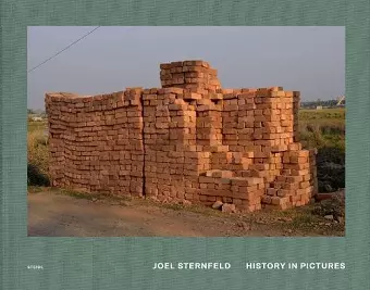 Joel Sternfeld: History in Pictures cover