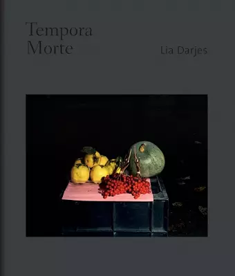 Lia Darjes: Tempora Morte cover