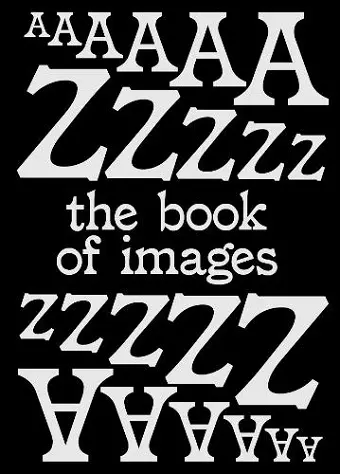 The Book of Images An illustrated dictionary of visual experiences From A to Z cover