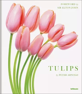 Tulips cover