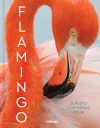 Flamingo cover
