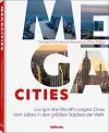 Megacities cover