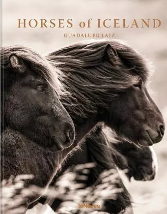 Horses of Iceland cover