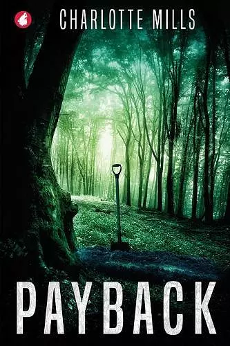 Payback cover