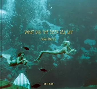 What Did the Deep Sea Say cover