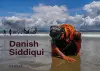 Danish Siddiqui cover