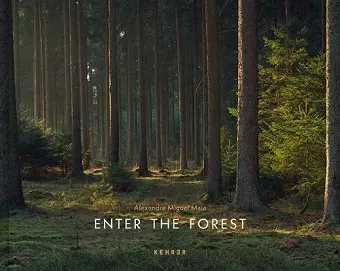 Enter the Forest cover